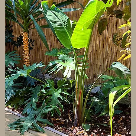 Marvivo - Rez De Jardin - 3' A Pied * La Seyne-sur-Mer